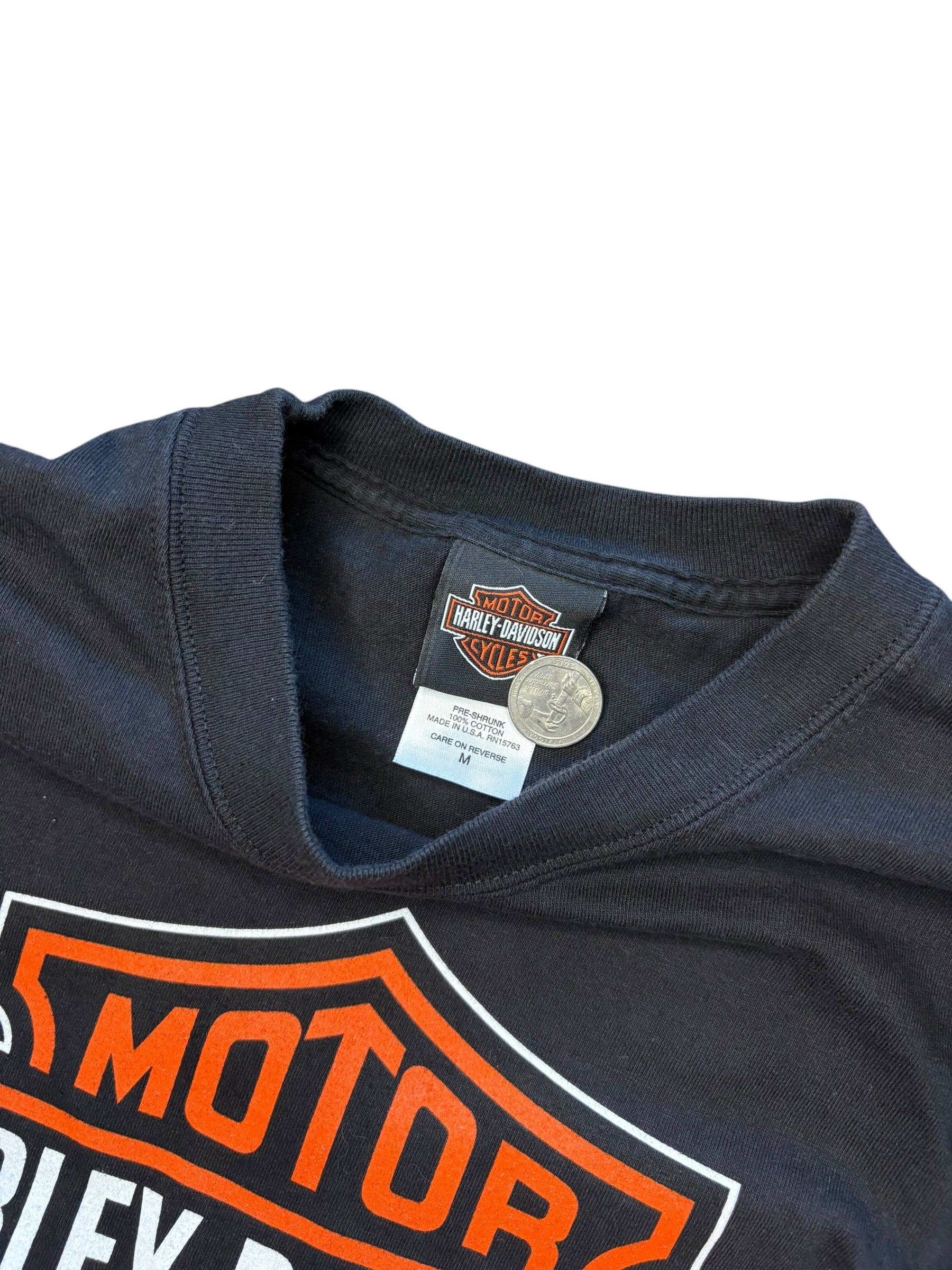 Vintage Harley Davidson Chain Long sleeve Shirt (Medium)