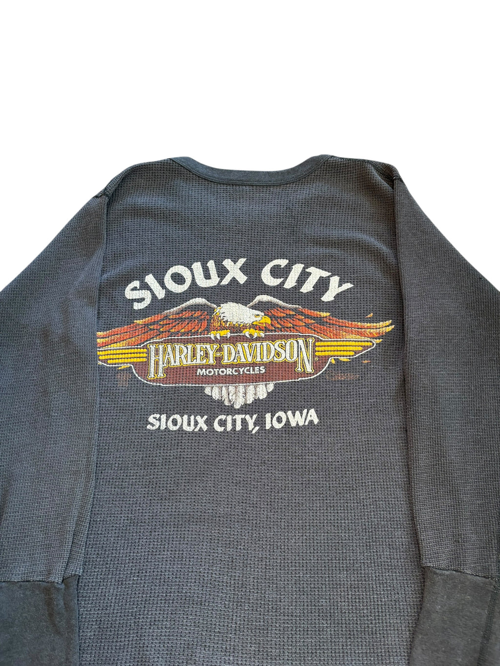 Vintage 1980s Holubek Harley Davidson Ride'n The Wind Thermal (Medium)