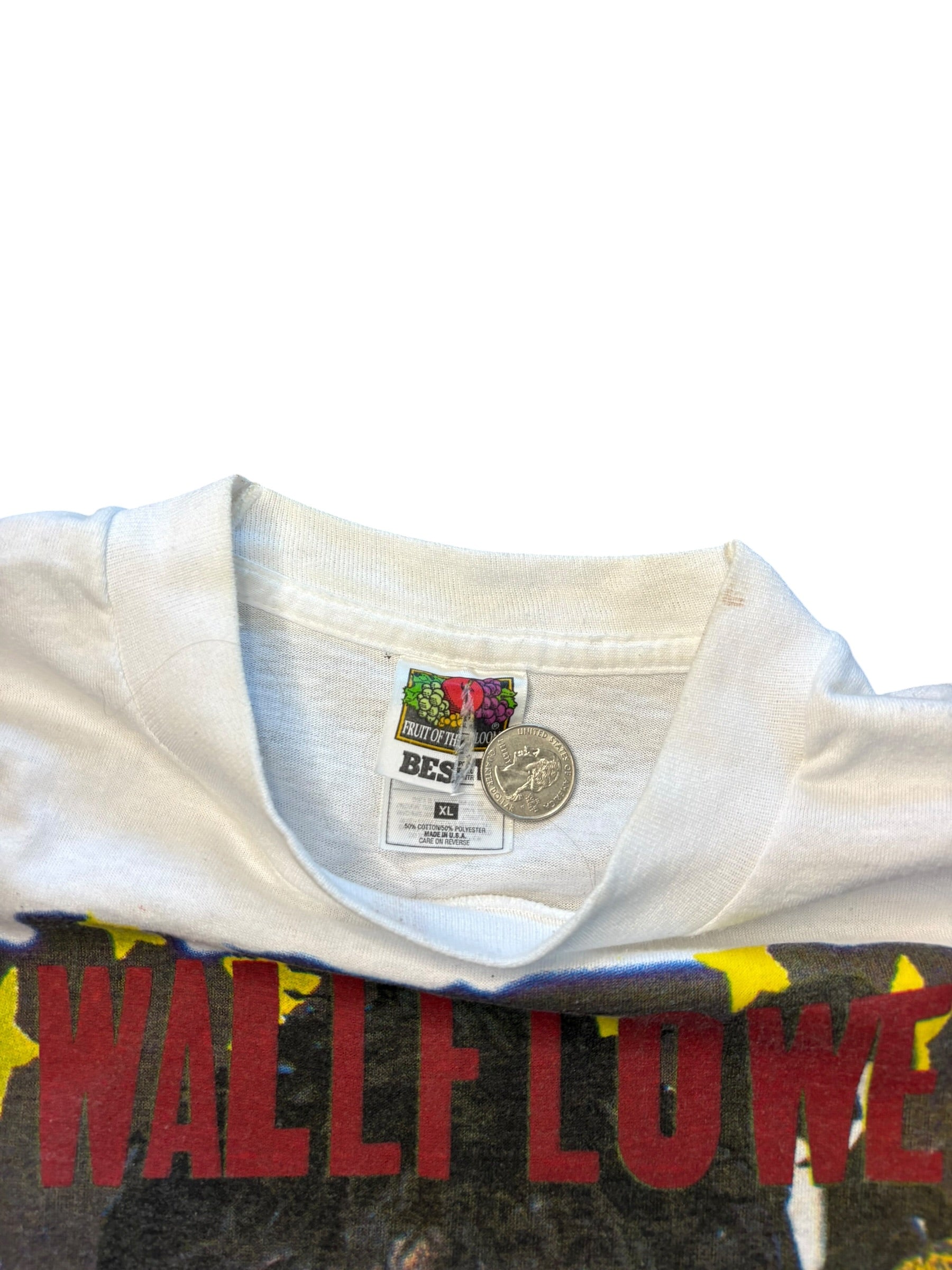 1997 Vintage Wallflowers and Counting crows parking lot tee (XL)