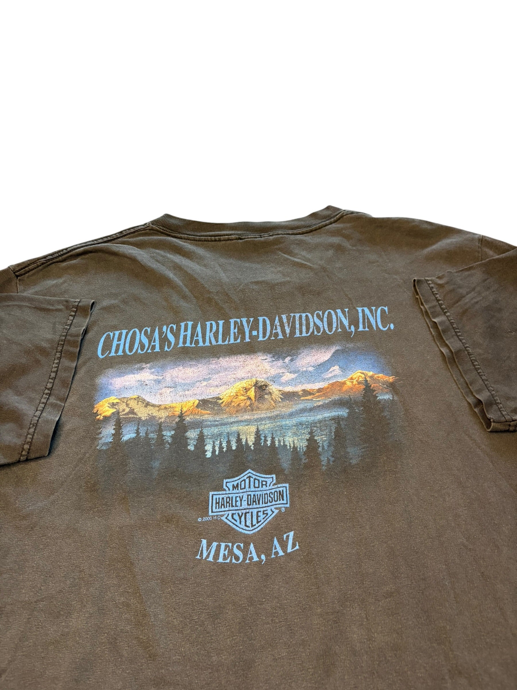 Vintage 1990s Harley Davidson Faded Eagle Tee (XL)