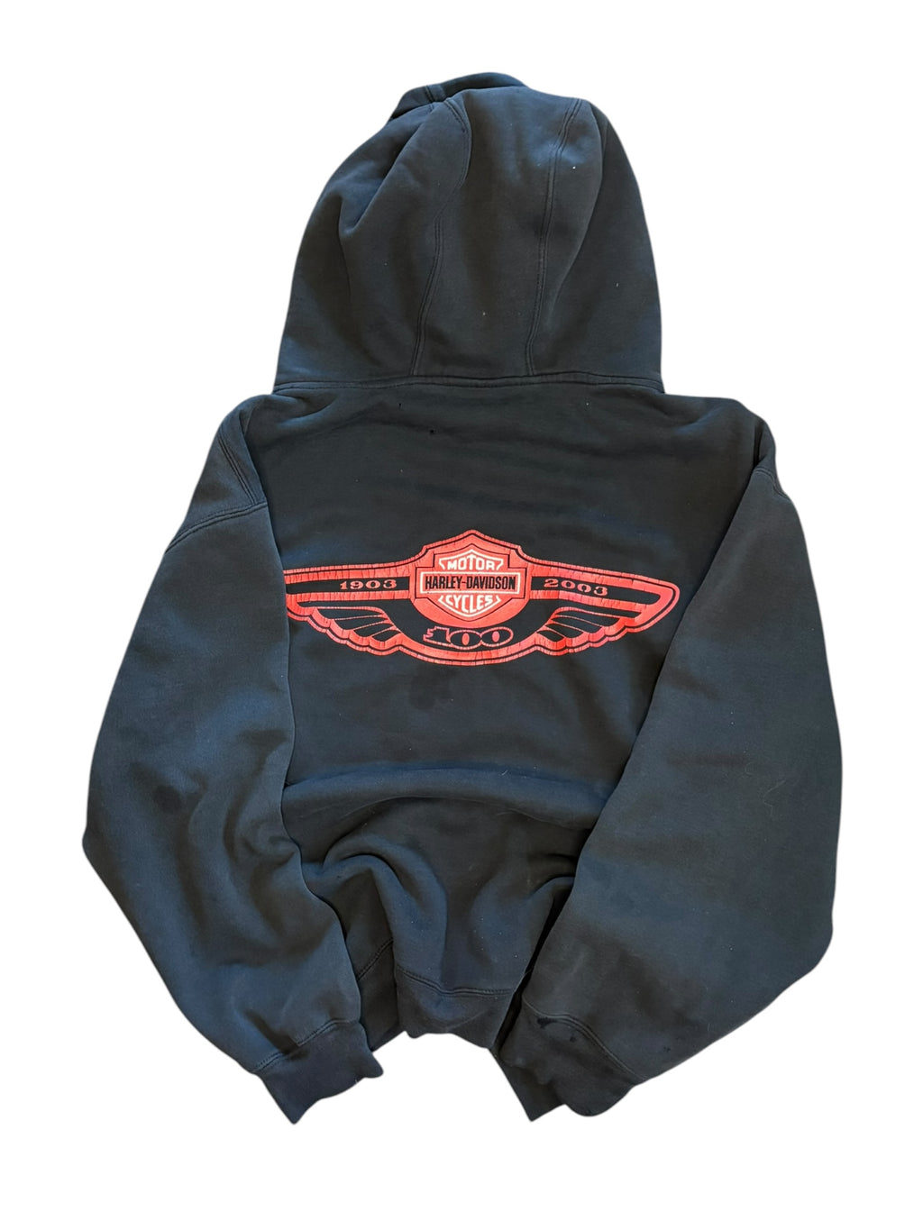 Vintage 2000s Faded And Slightly Thrashed Harley Davidson Hoodie (XL)
